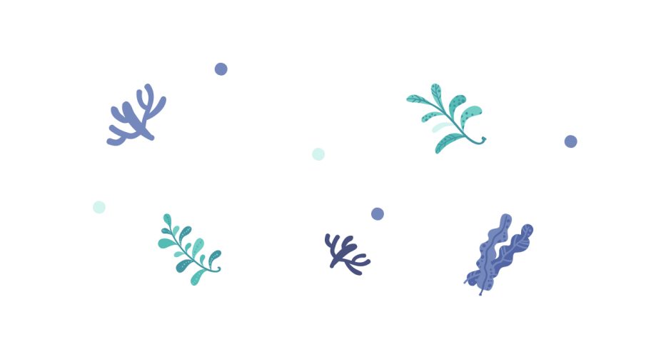 Αυτοκόλλητα καταστημάτων - Καλοκαιρινή σύνθεση από θαλάσσια φυτά