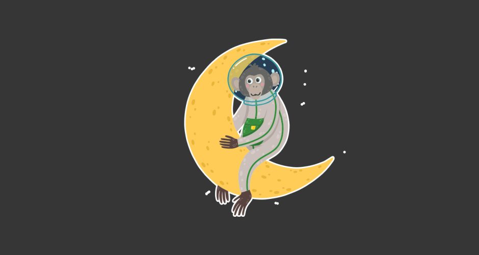 Selected products - Μαϊμού στο Φεγγάρι