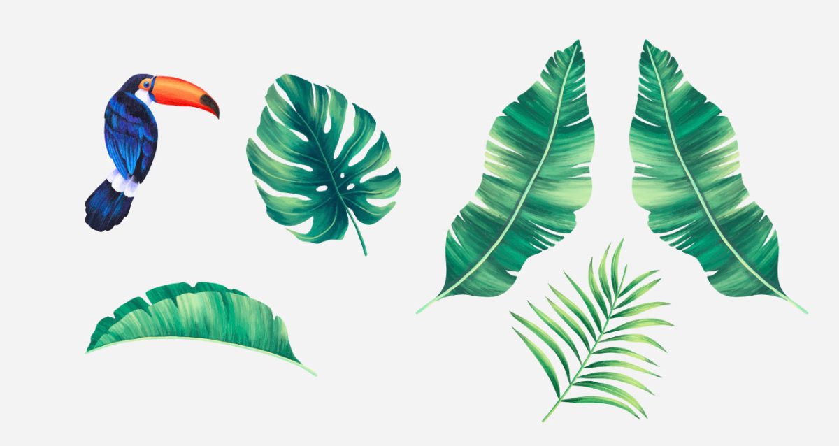 Τροπικά φύλλα πράσινα και ένα τουκάν — εικόνα 5 από 5