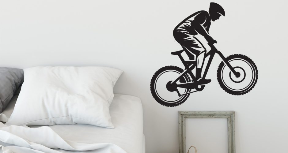 Νεανικό δωμάτιο - Ποδηλάτης με mountain bike
