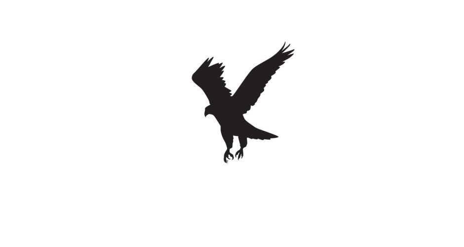 Αυτοκόλλητα Τοίχου - Αετός πετάει με ανοιχτά φτερά