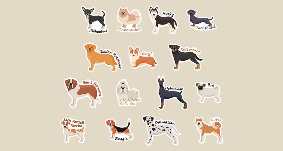 Αυτοκόλλητα Τοίχου - Χαριτωμένες ράτσες σκύλων στα Αγγλικά