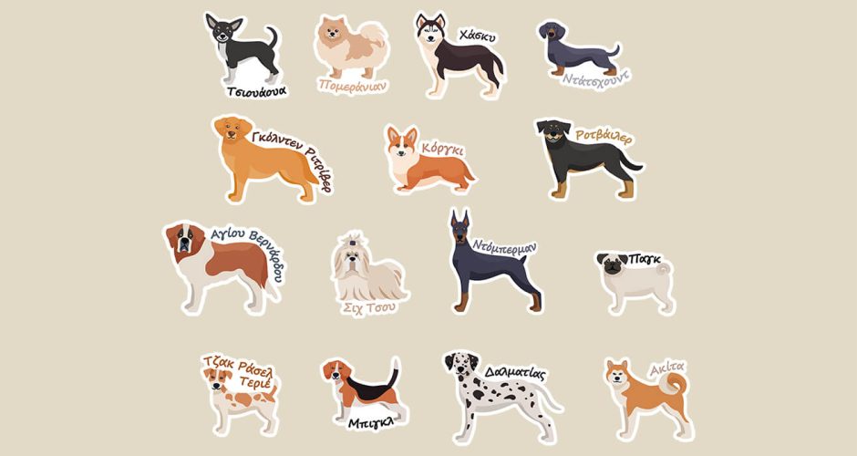 Selected products - Χαριτωμένες ράτσες σκύλων στα Ελληνικά