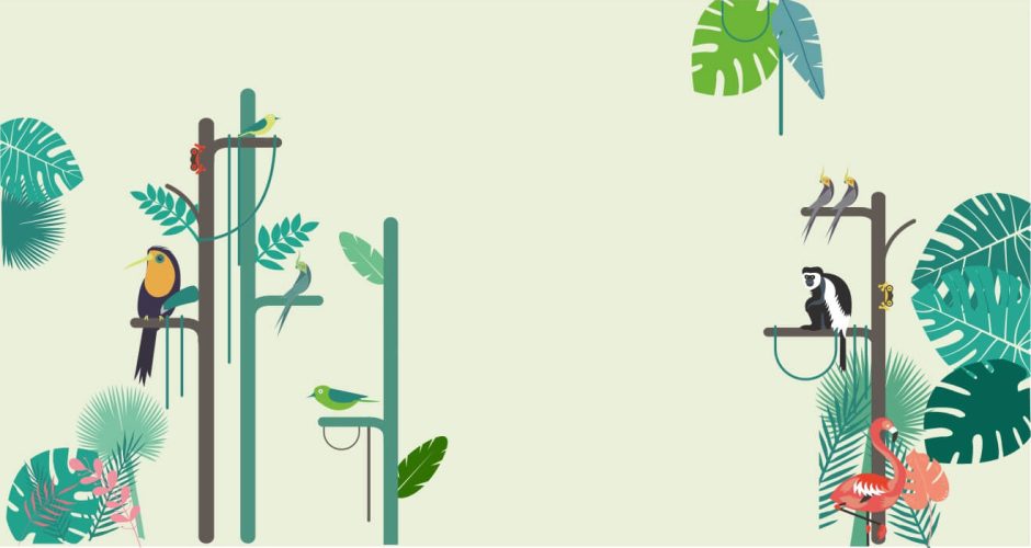 Αυτοκόλλητα Τοίχου - Αυτοκόλλητο τοίχου -Τροπικό δάσος με ζωάκια