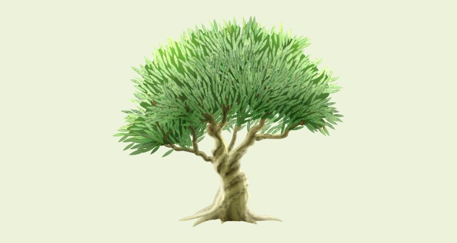 Αυτοκόλλητα Τοίχου - Ζωγραφιστό δέντρο ελιάς