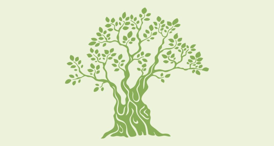 Αυτοκόλλητα Τοίχου - Μονόχρωμο δέντρο ελιάς