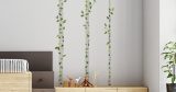Αυτοκόλλητο τοίχου Birch trees — εικόνα 1 από 4