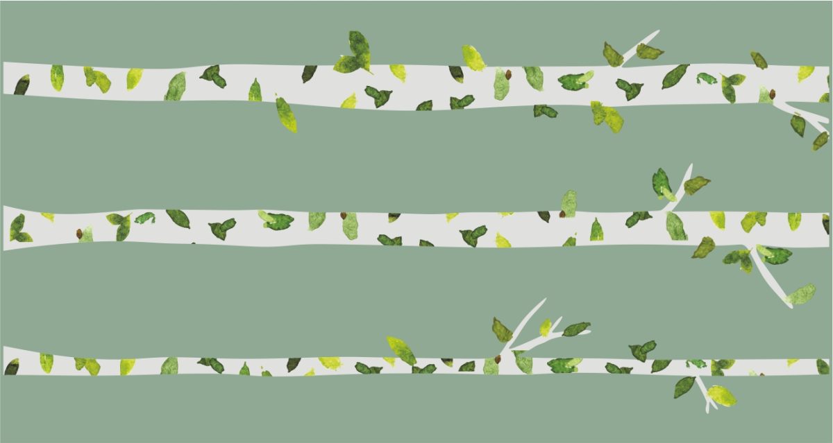 Αυτοκόλλητο τοίχου Birch trees — εικόνα 4 από 4