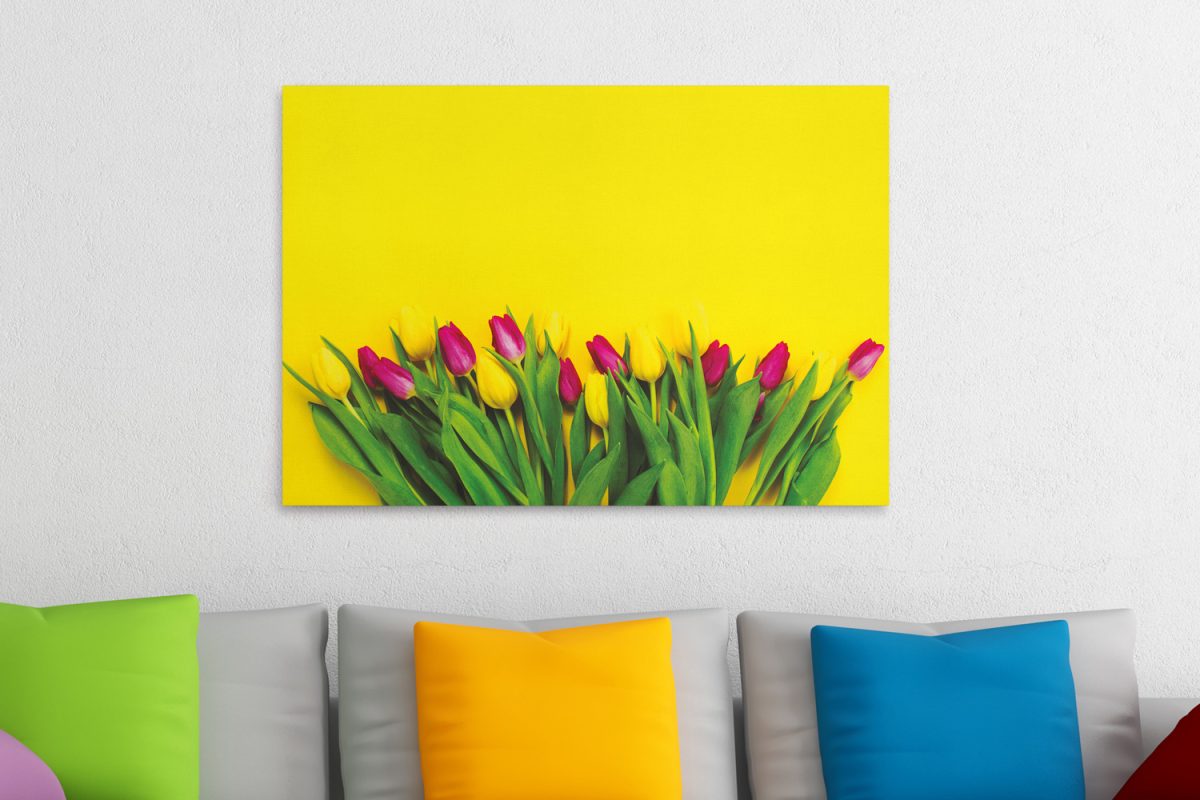 Λουλούδια - Floral - Τουλίπες σε κίτρινο φόντο — εικόνα 1 από 8