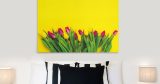 Λουλούδια - Floral - Τουλίπες σε κίτρινο φόντο — εικόνα 5 από 8