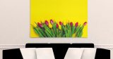 Λουλούδια - Floral - Τουλίπες σε κίτρινο φόντο — εικόνα 6 από 8