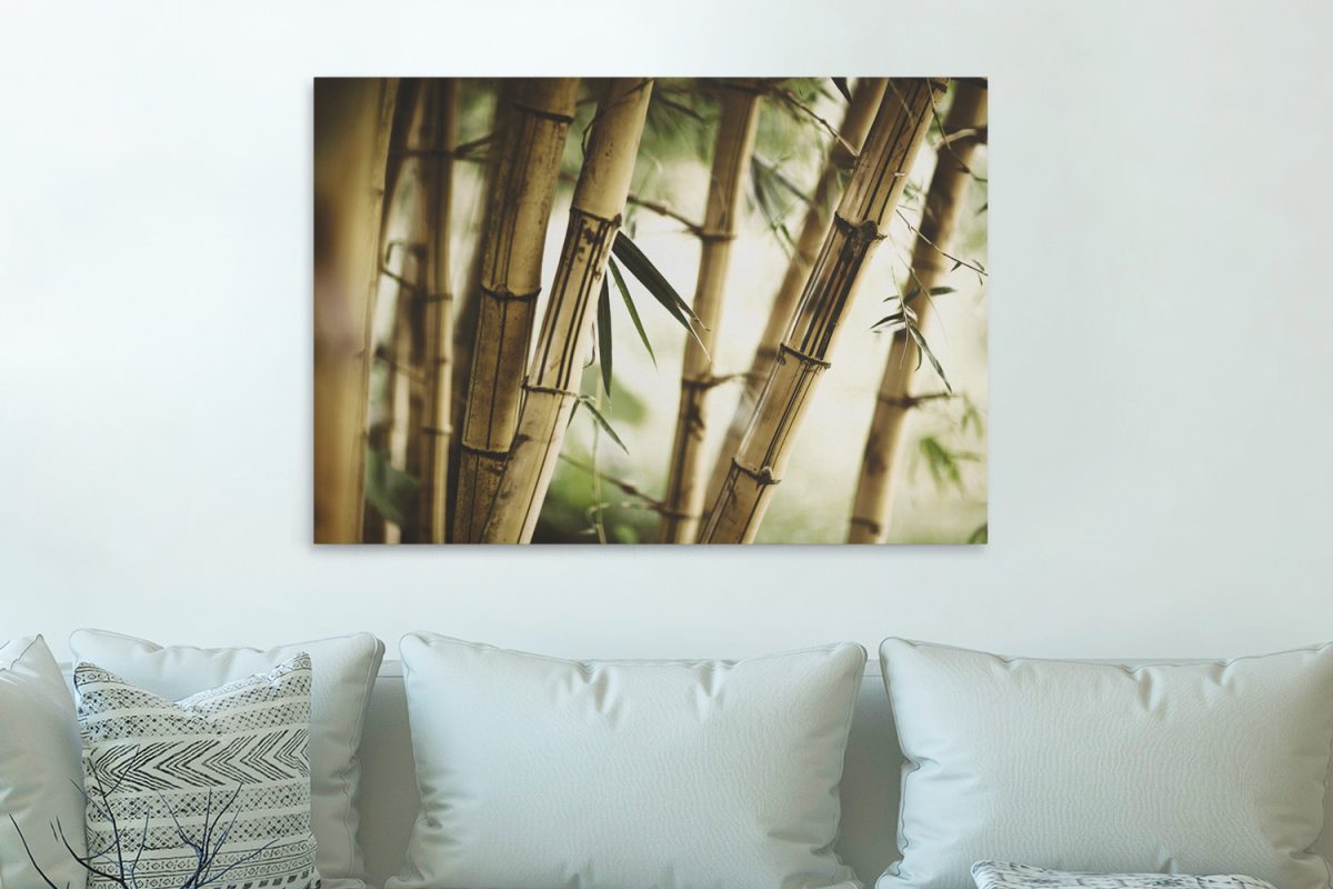 Πίνακες - Καλάμια bamboo σε κοντινό πλάνο — εικόνα 9 από 11