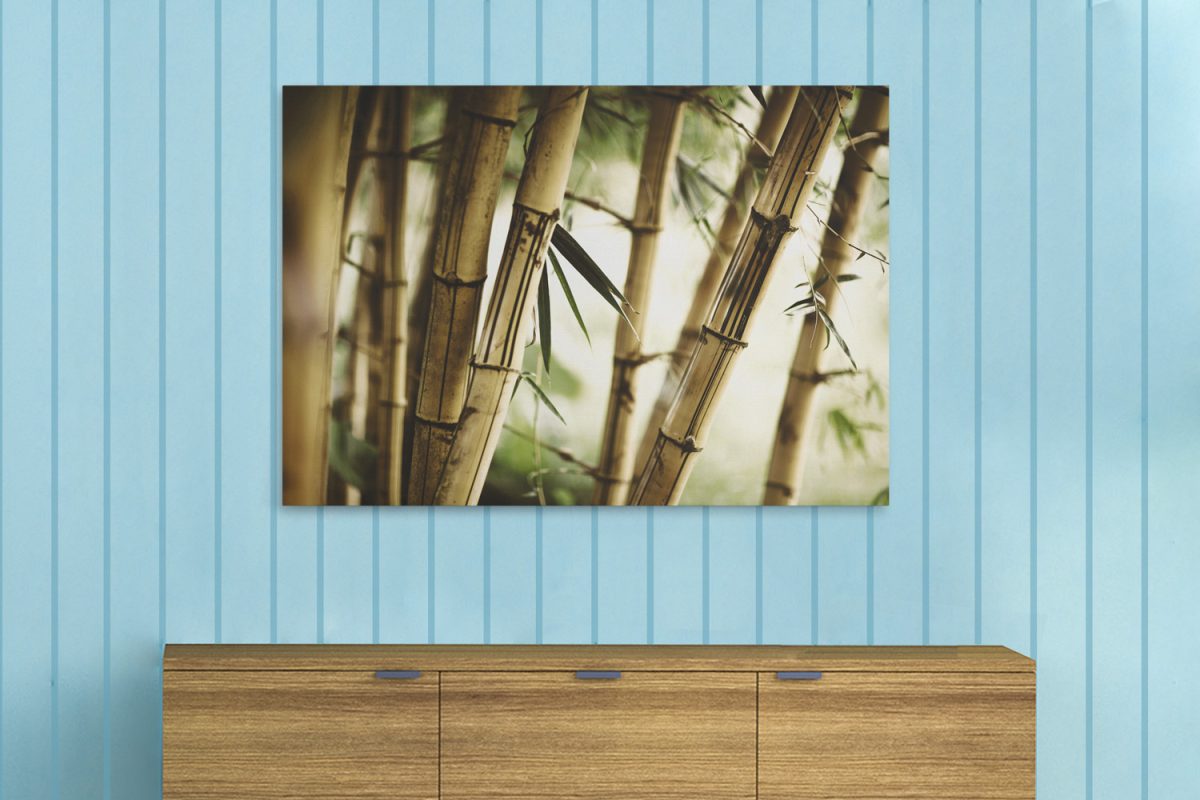 Πίνακες - Καλάμια bamboo σε κοντινό πλάνο — εικόνα 11 από 11