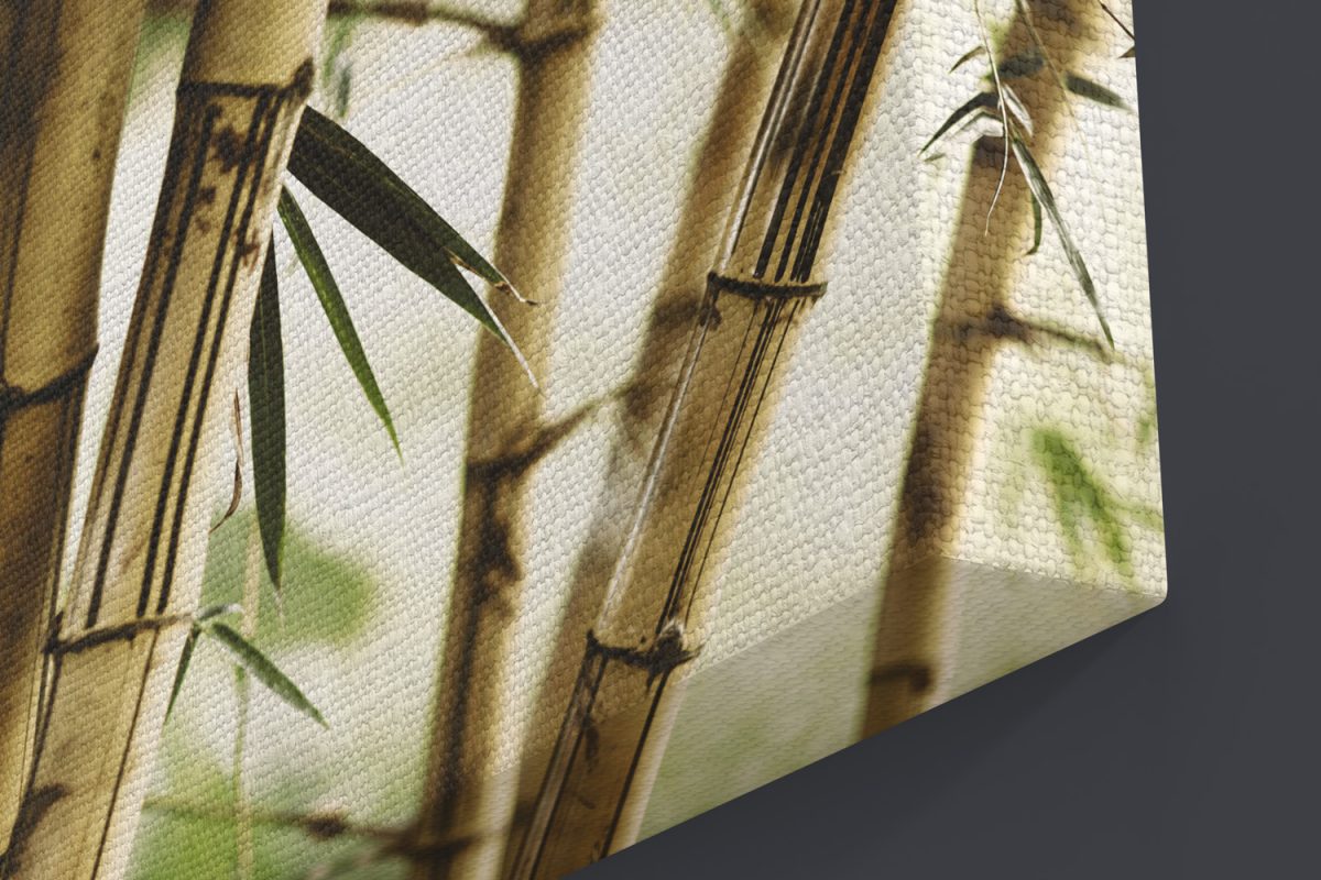 Πίνακες - Καλάμια bamboo σε κοντινό πλάνο — εικόνα 3 από 11