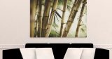 Πίνακες - Καλάμια bamboo σε κοντινό πλάνο — εικόνα 8 από 11