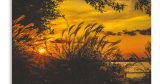 Πίνακες - Χρυσοκίτρινο ηλιοβασίλεμα το καλοκαίρι — εικόνα 4 από 11