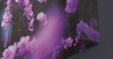 Λουλούδια - Floral - Υπέροχη Αζαλέα — εικόνα 7 από 8
