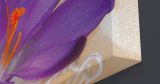 Λουλούδια - Floral - Μωβ άνθος σε γυάλινο βάζο — εικόνα 10 από 10