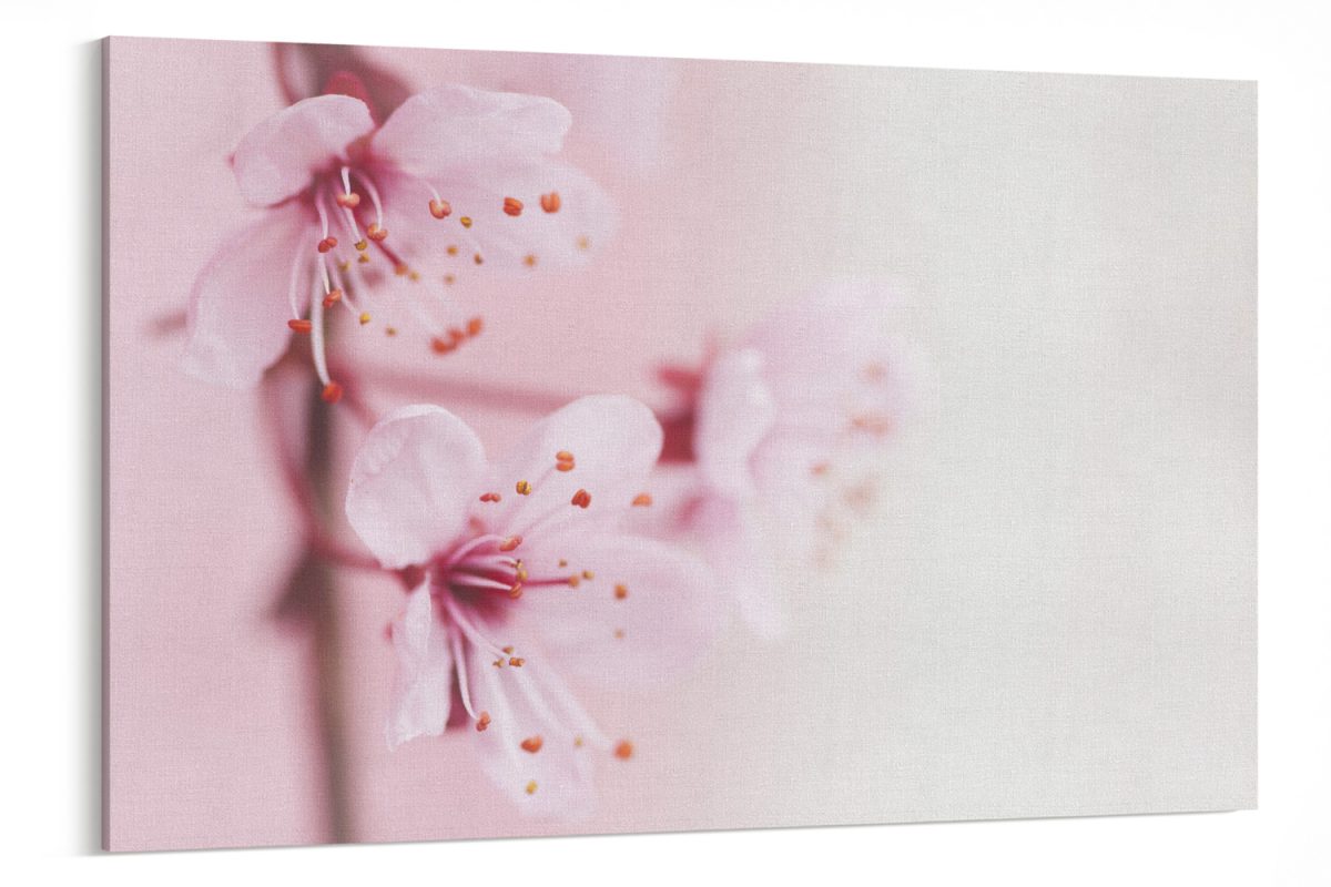 Λουλούδια - Floral - Ροζ άνθη σε παλ απόχρωση — εικόνα 6 από 6
