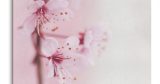 Λουλούδια - Floral - Ροζ άνθη σε παλ απόχρωση — εικόνα 6 από 6