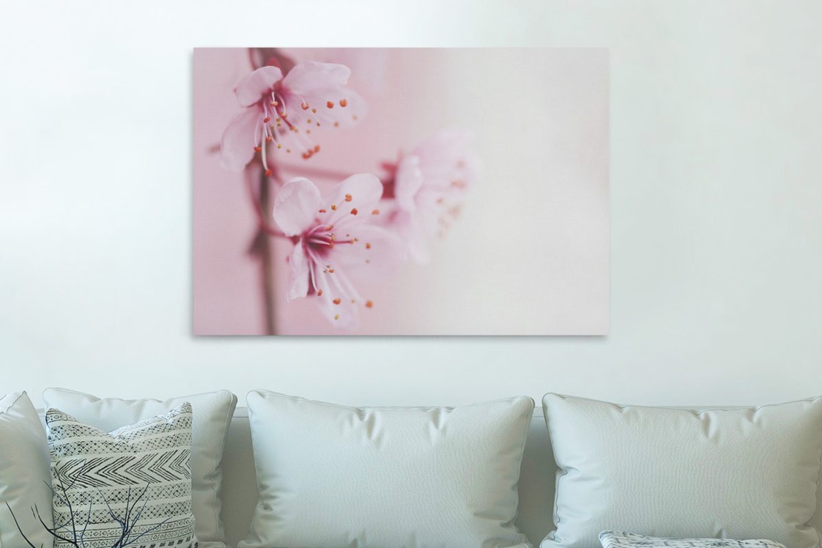 Λουλούδια - Floral - Ροζ άνθη σε παλ απόχρωση — εικόνα 1 από 6