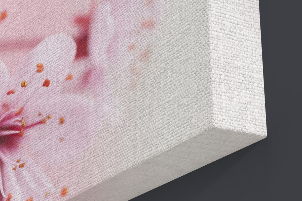 Λουλούδια - Floral - Ροζ άνθη σε παλ απόχρωση — εικόνα 5 από 6