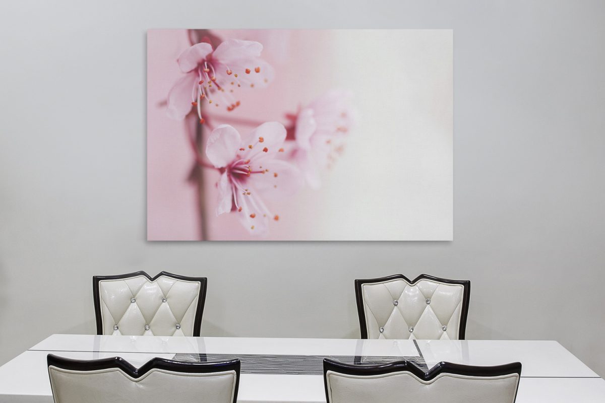 Λουλούδια - Floral - Ροζ άνθη σε παλ απόχρωση — εικόνα 3 από 6