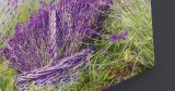 Λουλούδια - Floral - Λεβάντες σε ψάθινο λιλά καλάθι — εικόνα 7 από 8