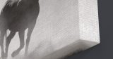 Ζώα - Άλογα τρέχουν στην σκόνη (Ασπρόμαυρη) — εικόνα 10 από 10