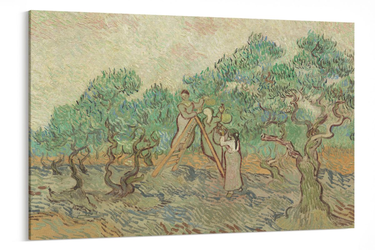 Vincent van Gogh - Vincent van Gogh The Olive Orchard — εικόνα 7 από 8