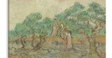 Vincent van Gogh - Vincent van Gogh The Olive Orchard — εικόνα 7 από 8