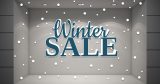 Αυτοκόλλητα καταστημάτων - Winter SALE με χιόνι και 160 χιονόμπαλες — εικόνα 1 από 4