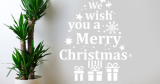 Εποχιακά & Γιορτές - Αυτοκόλλητο “Merry Christmas” με Έλατο & Δώρα — εικόνα 3 από 6