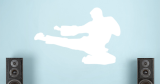 Αυτοκόλλητα Τοίχου - Tae Kwon Do κλωτσιά στον αέρα — εικόνα 5 από 6