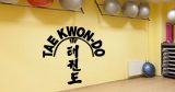 Πολεμικές Τέχνες - Tae Kwon Do στα Κορεάτικα — εικόνα 2 από 6